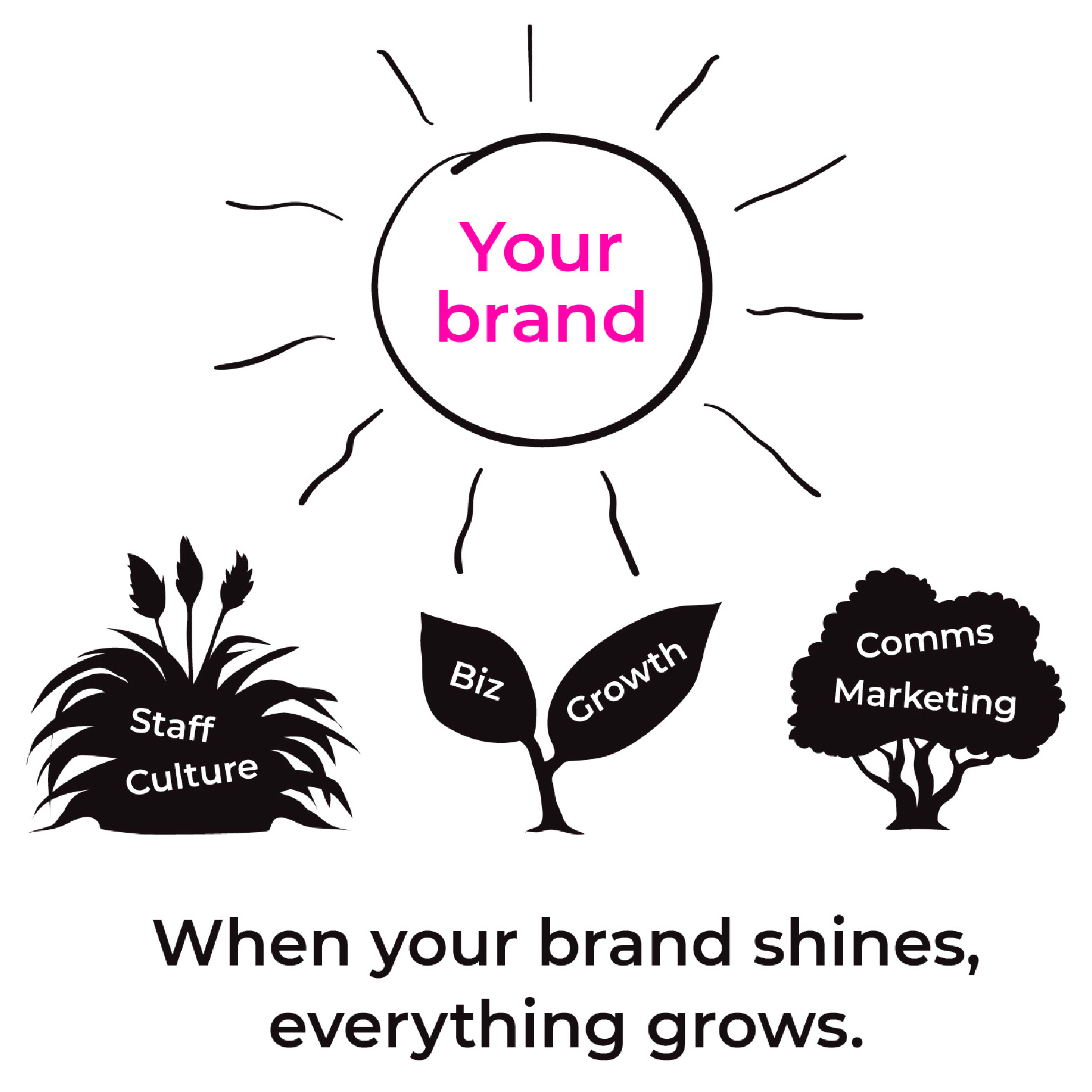 Your Brand Shines