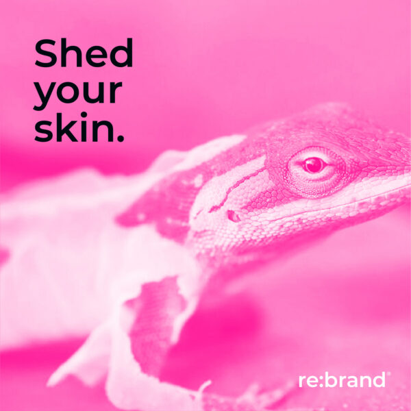 About 2 What We Do Rebrand - What We Do